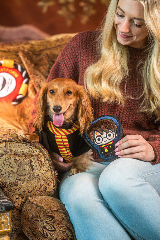 HP-PetSmart-Image-1